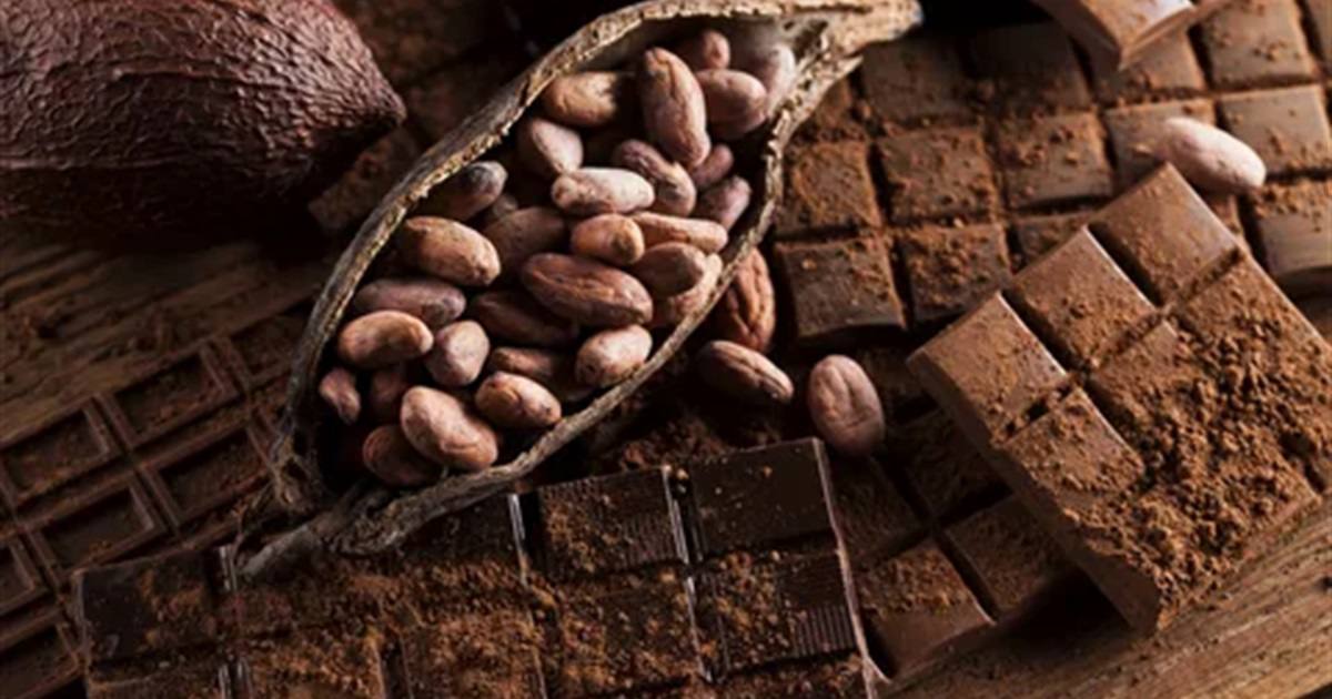 Dlaczego czekolada jest uważana za zdrową?